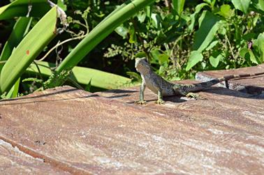 Dreams-Resort-und-Spa-Tulum, DSC_6870_b_H600Px